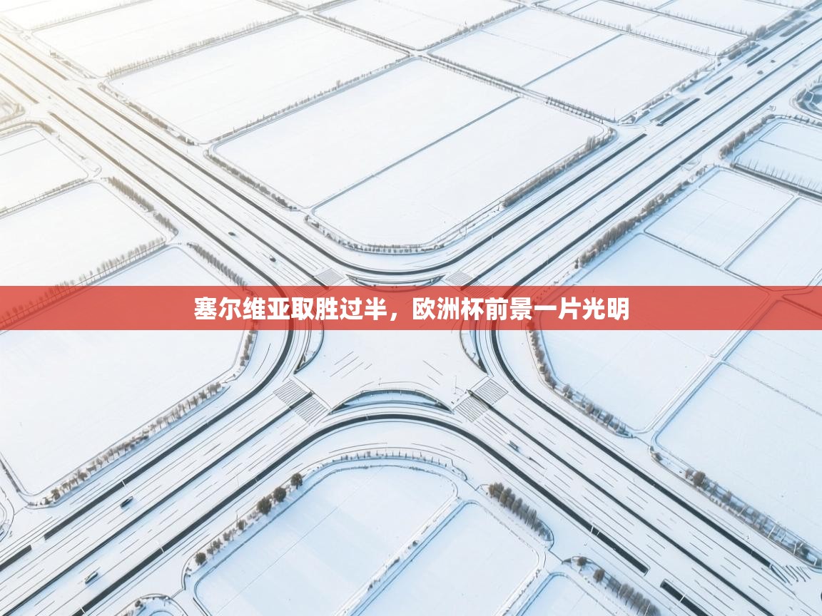 塞尔维亚取胜过半，欧洲杯前景一片光明