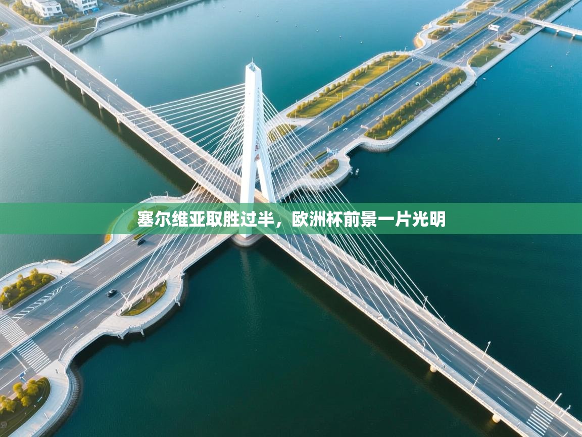 塞尔维亚取胜过半，欧洲杯前景一片光明  第2张