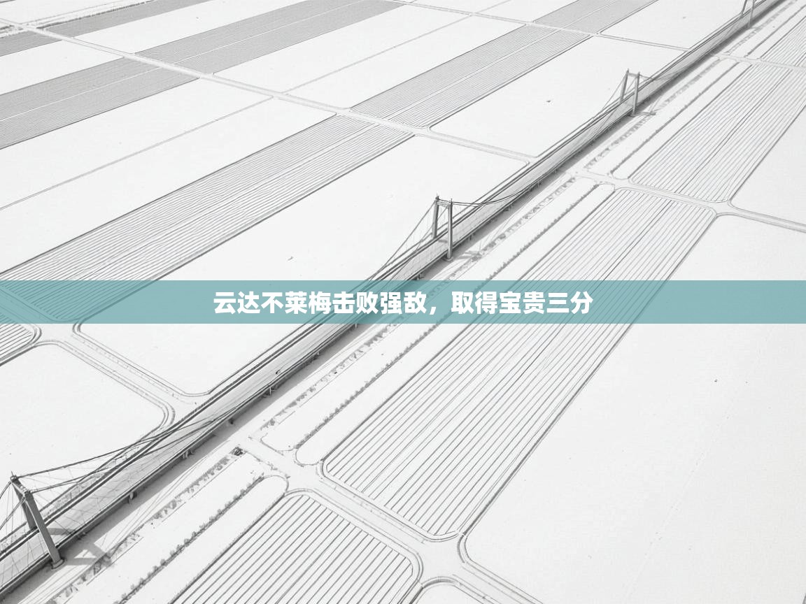 云达不莱梅击败强敌，取得宝贵三分  第2张