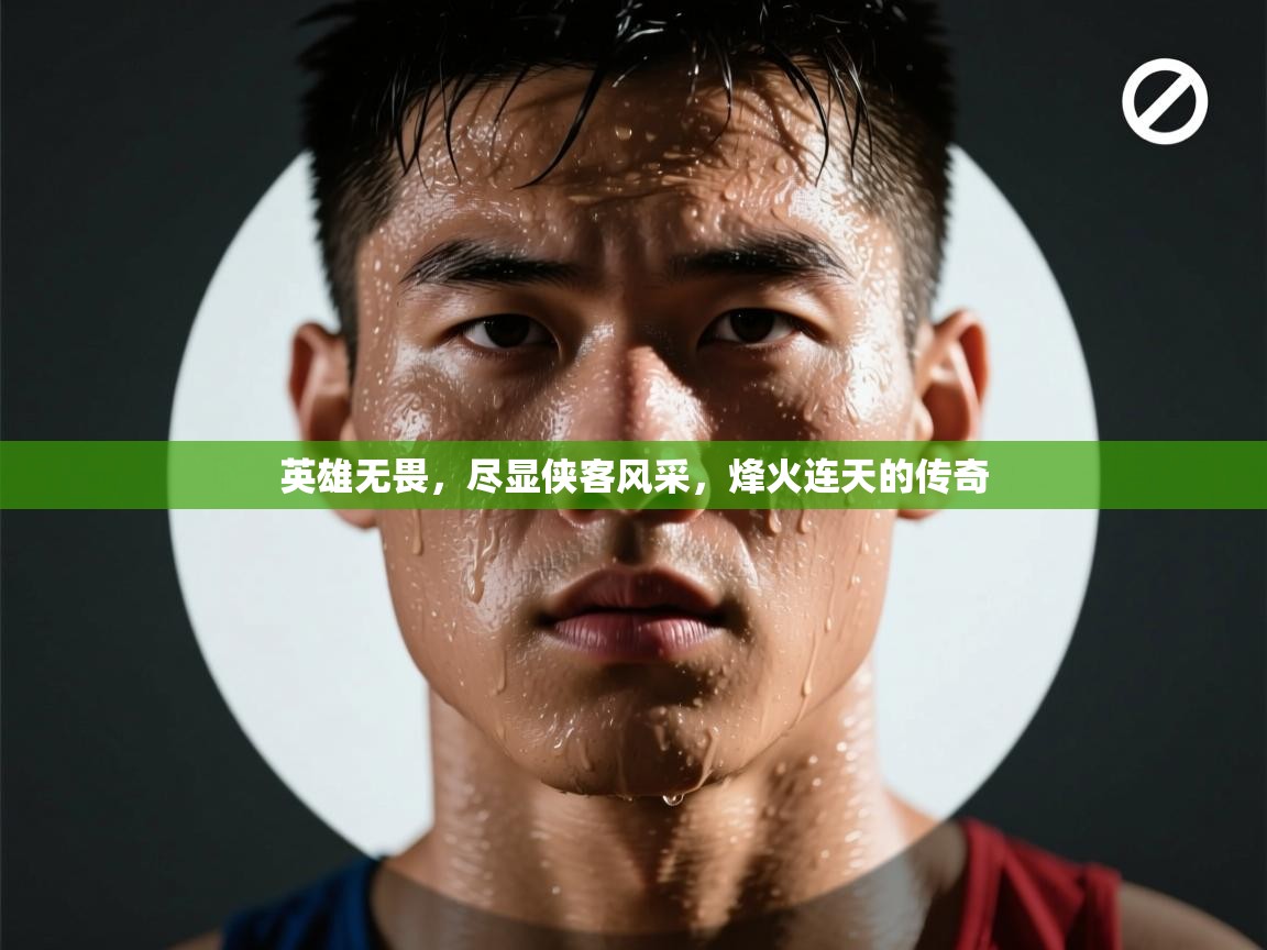 英雄无畏,尽显侠客风采,烽火连天的传奇 第2张