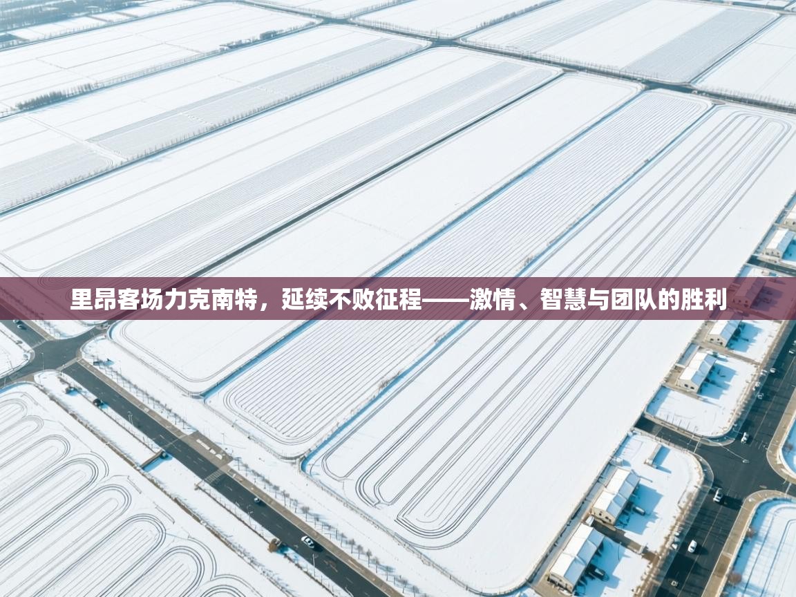 里昂客场力克南特，延续不败征程——激情、智慧与团队的胜利